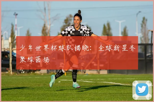 少年世界杯球队揭晓:全球新星齐聚绿茵场