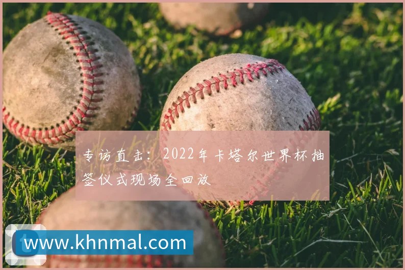 雨燕直播平台生态图