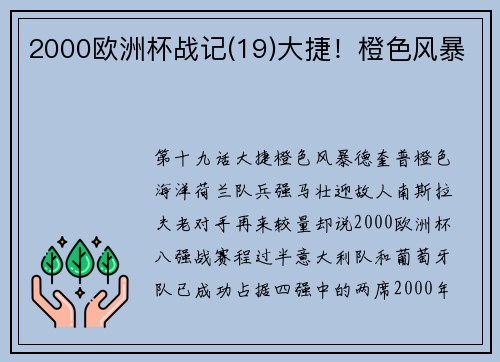 2000欧洲杯战记(19)大捷！橙色风暴