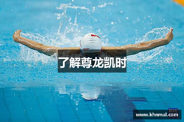 了解尊龙凯时